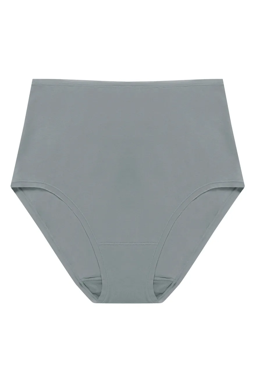 Bliss Bare Cotton High Waist Brief
