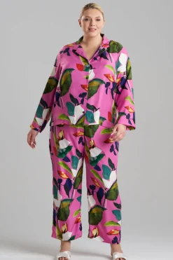 Daido Notch PJ