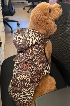 Luxe Leopard Raincoat