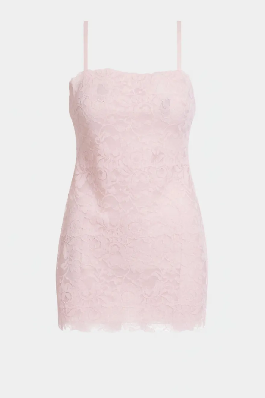 Peony Allover Lace Chemise