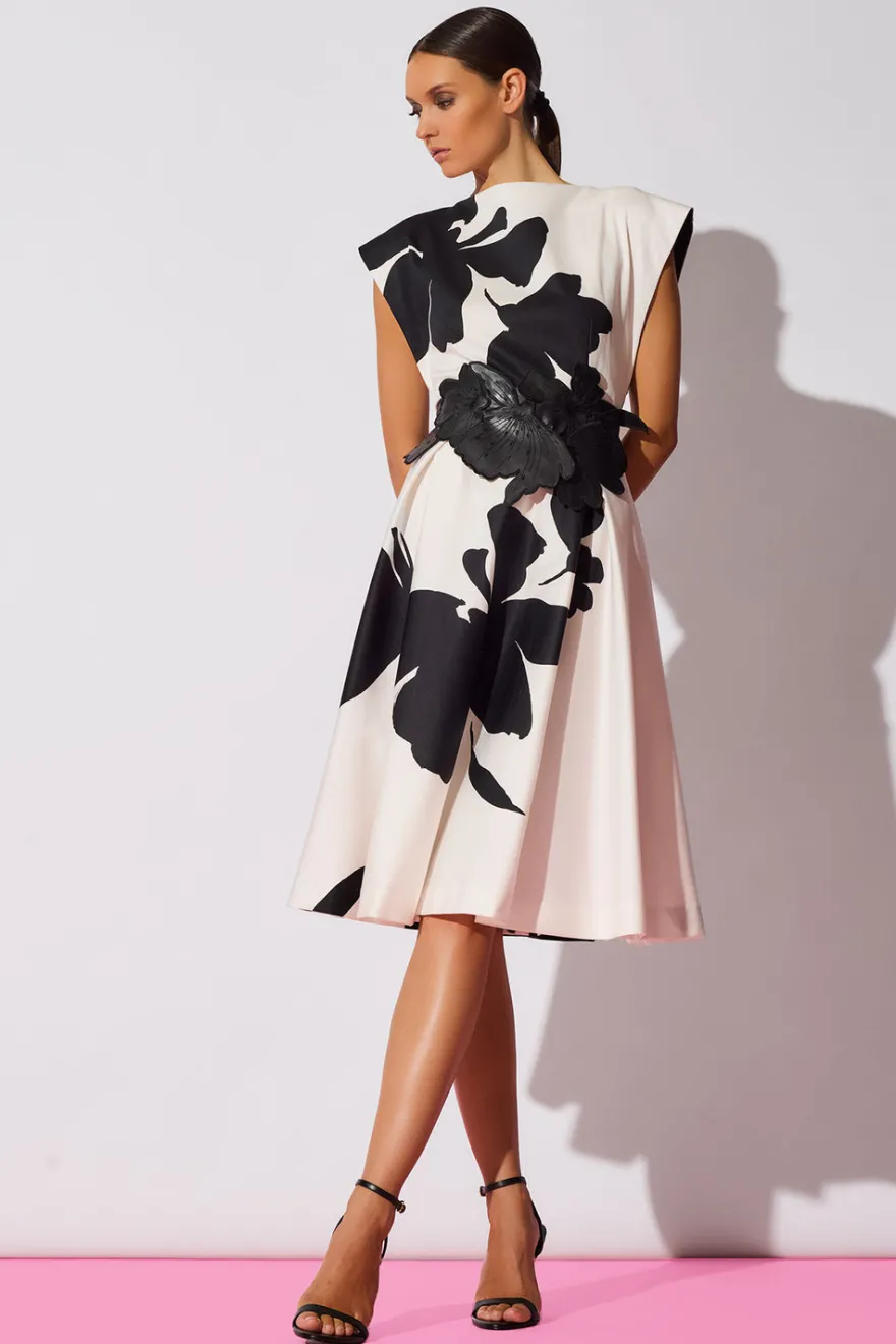 Peony Cotton Chino Fit & Flare Dress