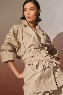 Tech Cotton Taffeta Palazzo Pants