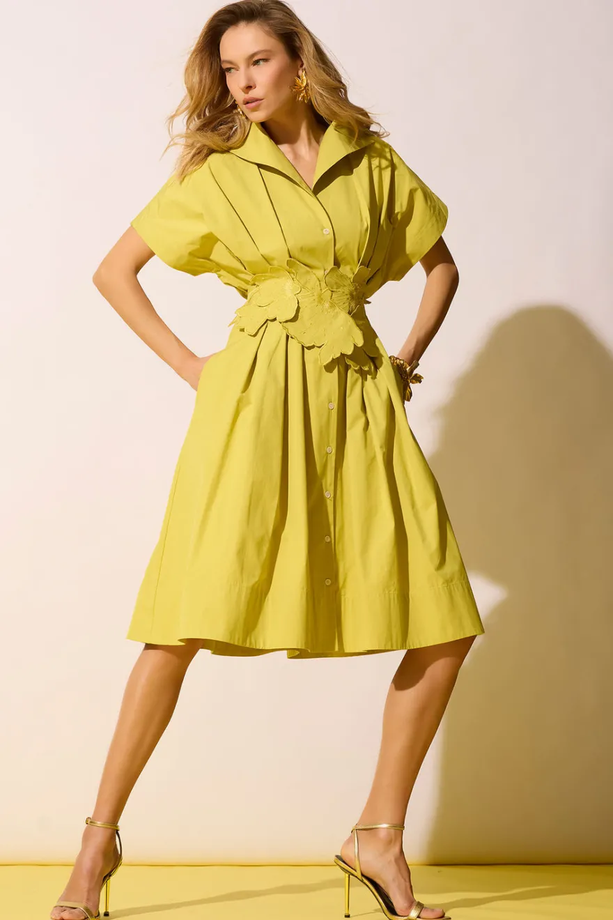 Tech Cotton Taffeta Pleat Release Button Down Shirtdress